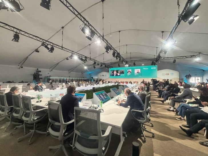 Депутаты Милли Меджлиса приняли участие в Парламентском круглом столе на WUF13