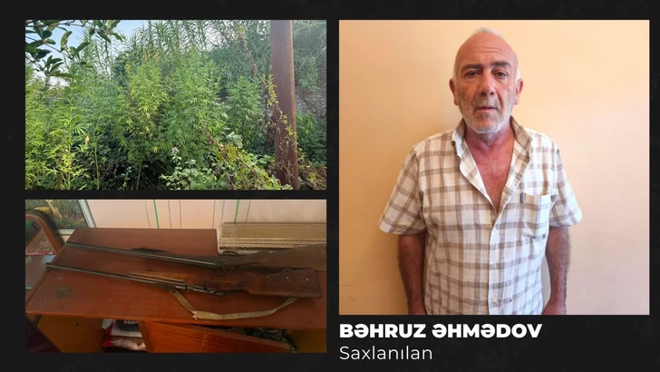 Житель Гёйчая арестован за выращивание наркотикосодержащих растений и хранение оружия