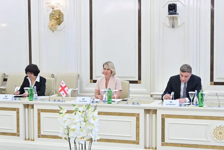 Media.az - Новости Азербайджана - В парламенте Грузии высоко оценили позицию Азербайджана по территориальной целостности страны