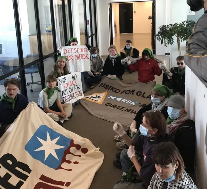 Полиция Дании выдворила из офиса Maersk Грету Тунберг и свыше 50 активистов