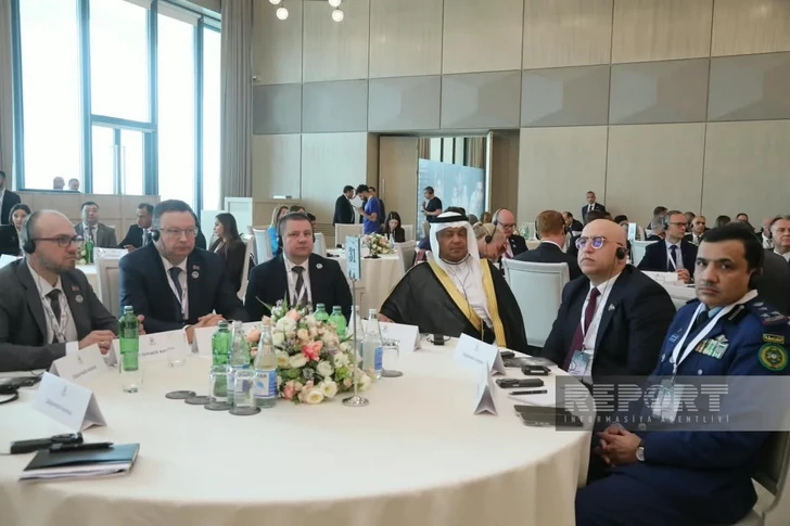 Media.az - Новости Азербайджана - В Баку проходит IV международная конференция по проблеме пропавших без вести