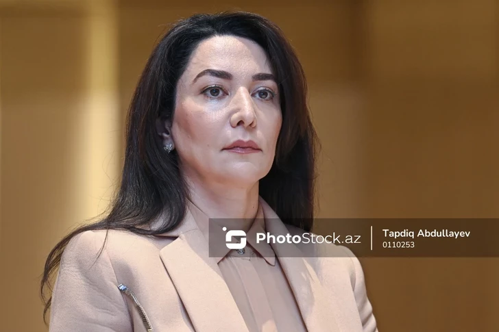 Омбудсмен Азербайджана расценила заявления Армении как попытку подорвать мирные переговоры