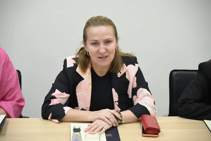 Media.az - Новости Азербайджана - Азербайджан и Сербия обсудили модернизацию госуправления