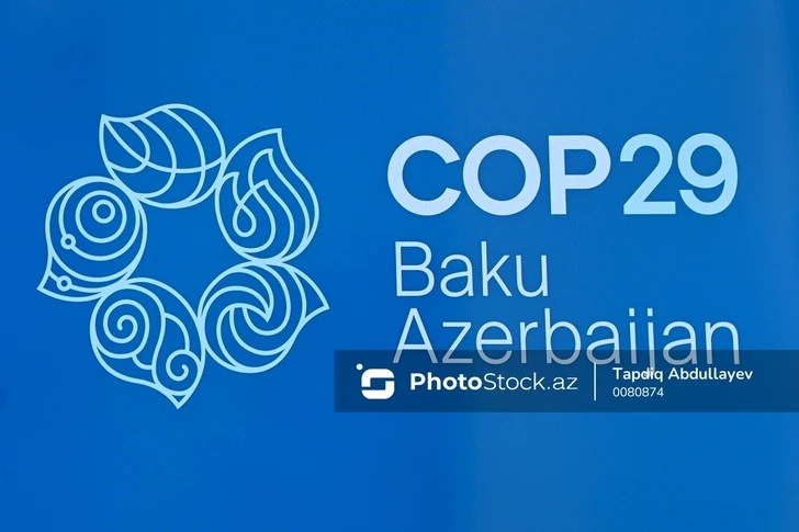 Азербайджан четко определил климатическое финансирование как важный приоритет - Рэйчел Томпсон