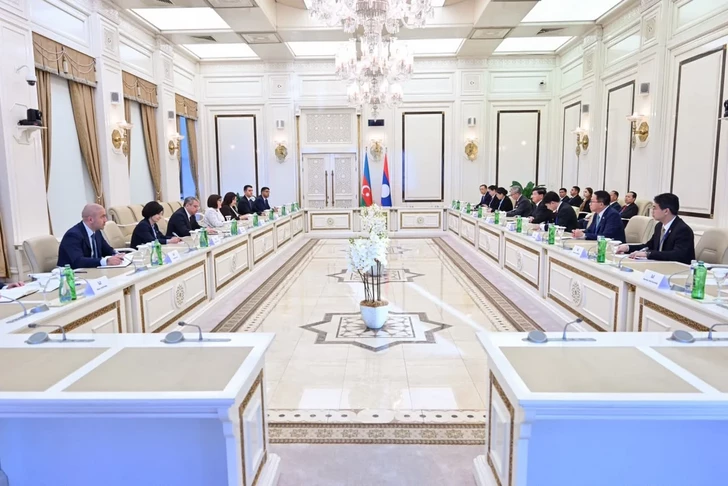 Media.az - Новости Азербайджана - Сахиба Гафарова обсудила с президентом Лаоса развитие межпарламентских связей