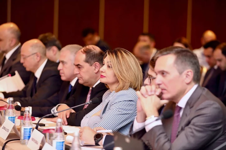 Media.az - Новости Азербайджана - Азербайджан, Грузия, Румыния и Венгрия перешли к реализации энергокоридора