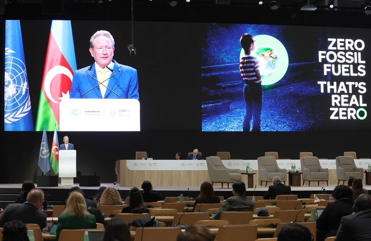 Минэкономики и AZPROMO провели мероприятие «COP29: бизнес, инвестиции и благотворительность»