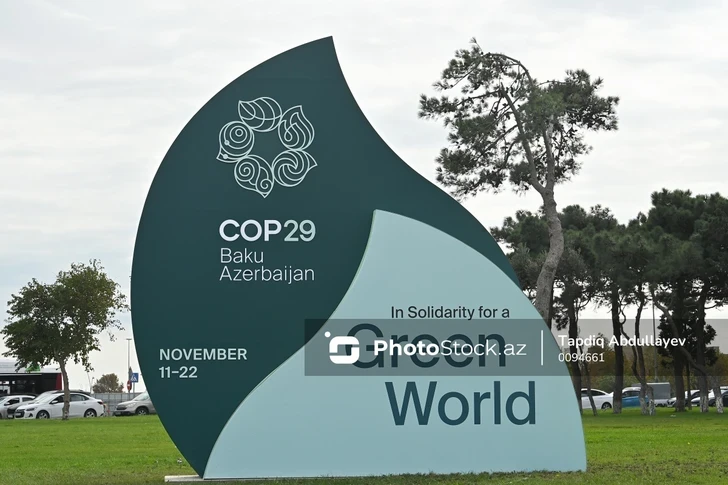COP29 в Азербайджане открывает двери для «зеленых» инвестиций в Грузии - вице-президент АБИИ