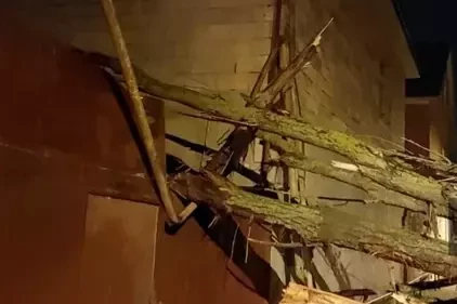 Гроза и шквалистый ветер привели к негативным последствиям в Лянкяране