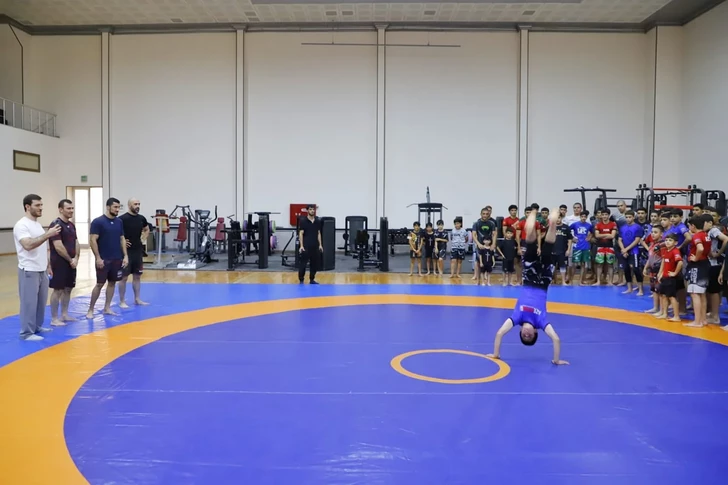 Media.az - Новости Азербайджана - Азербайджанский боец UFC Фарман Гасанов провел мастер-класс в Нахчыване