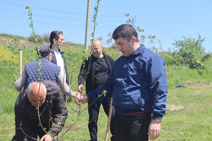 Media.az - Новости Азербайджана - В Ходжалы состоялась экологическая акция к годовщине со дня рождения Гейдара Алиева