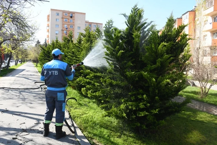 Media.az - Новости Азербайджана - В Баку провели общегородской субботник
