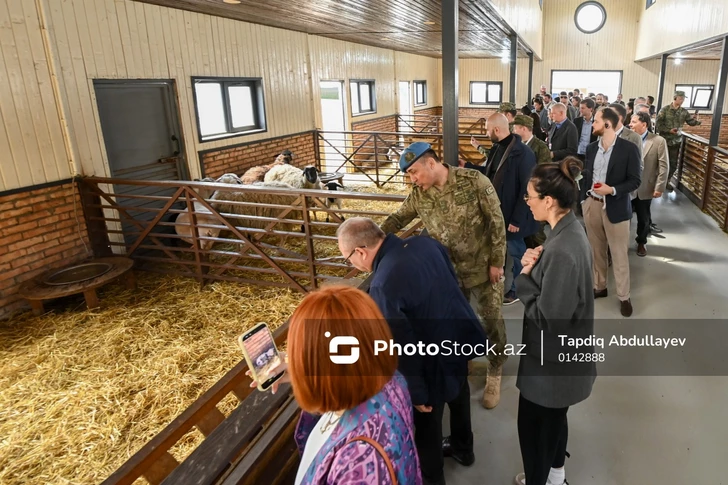 Media.az - Новости Азербайджана - Представители аккредитованного в Азербайджане дипкорпуса побывали в агропромышленном парке в Лачыне
