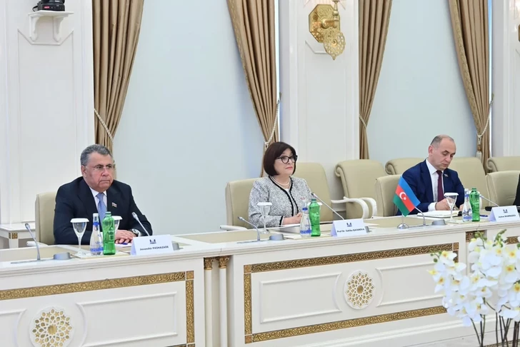 Media.az - Новости Азербайджана - Спикер Милли Меджлиса встретилась с премьер-министром Палестины