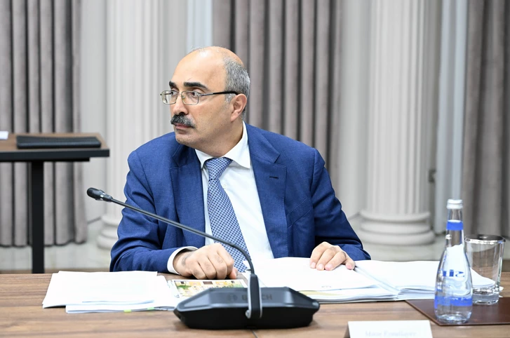 Media.az - Новости Азербайджана - Экономический совет обсудил проблемы предпринимателей и вопросы улучшения бизнес-среды