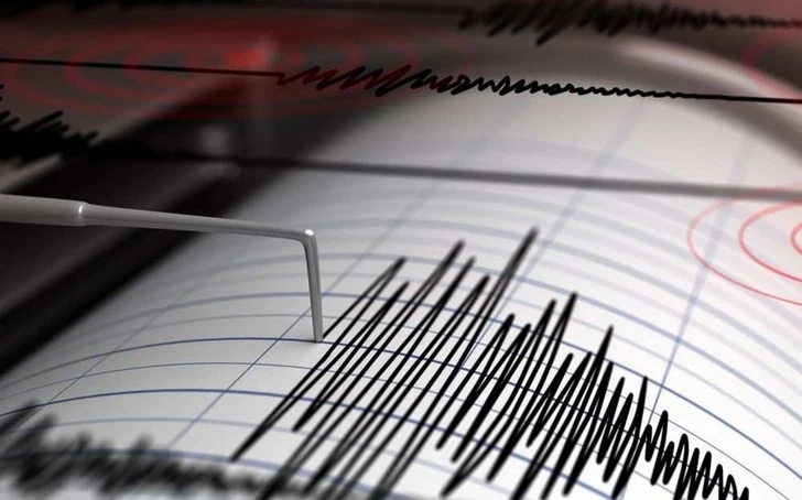 В сейсмоопасных зонах в Азербайджане будет проведена оценка риска землетрясений