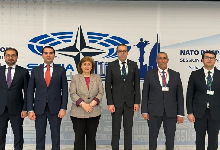 Представители Азербайджана принимают участие в сессии ПА НАТО