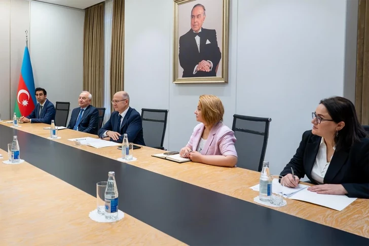 Media.az - Новости Азербайджана - IEC и Азербайджан расширяют сотрудничество в сфере энергетики и новых технологий