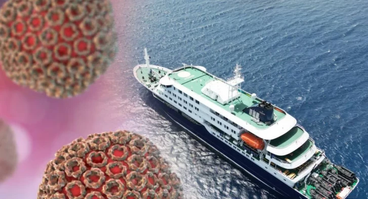 Пассажиров круизного лайнера MV Hondius ищут по всему миру из-за вспышки хантавируса