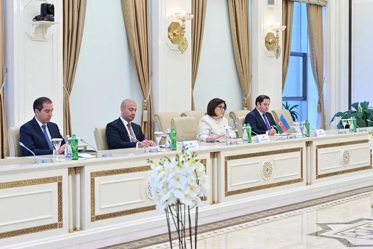 Media.az - Новости Азербайджана - В парламенте Грузии высоко оценили позицию Азербайджана по территориальной целостности страны
