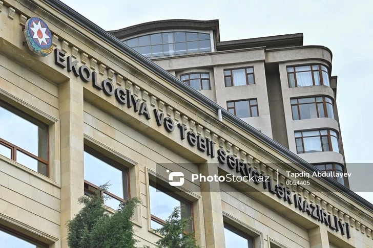 Назначен первый заместитель министра экологии Азербайджана