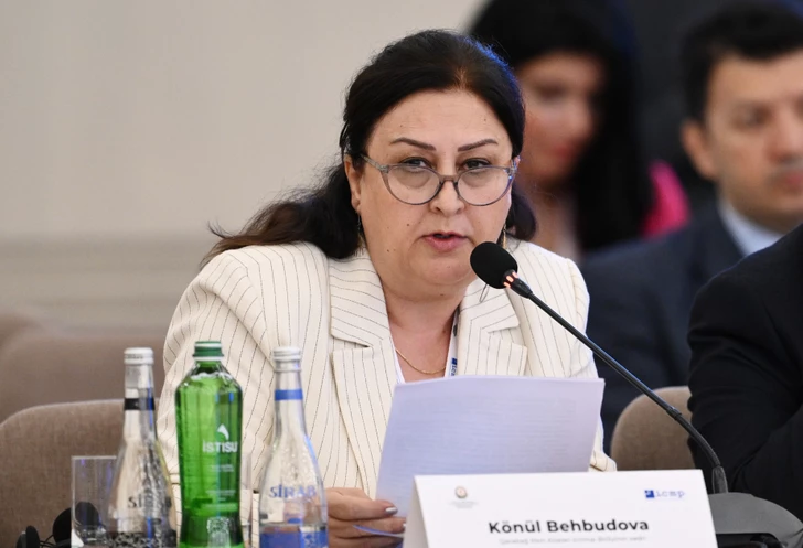 Media.az - Новости Азербайджана - В Баку состоялась международная конференция по проблеме пропавших без вести лиц
