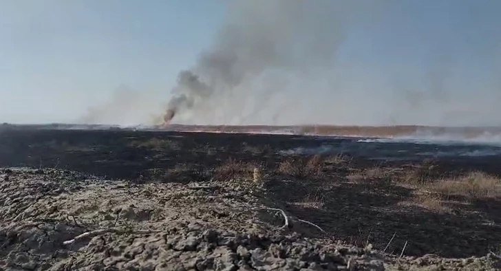 Media.az - Новости Азербайджана - Армянская провокация: МЧС оперативно ликвидировало возгорание на границе
