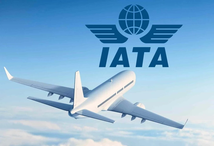 IATA: в СНГ выросло число авиационных происшествий