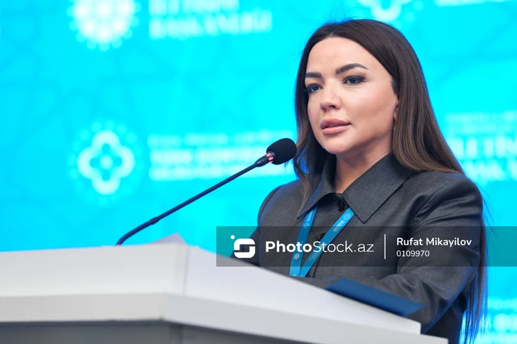 Айгюн Алиева: Устойчивое городское развитие невозможно без участия гражданского общества