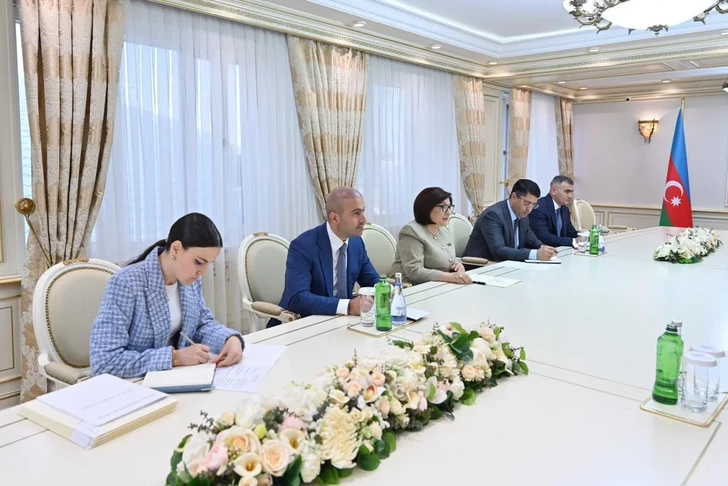 Media.az - Новости Азербайджана - Председатель Милли Меджлиса Сахиба Гафарова встретилась с вице-спикерами парламентов стран Африки