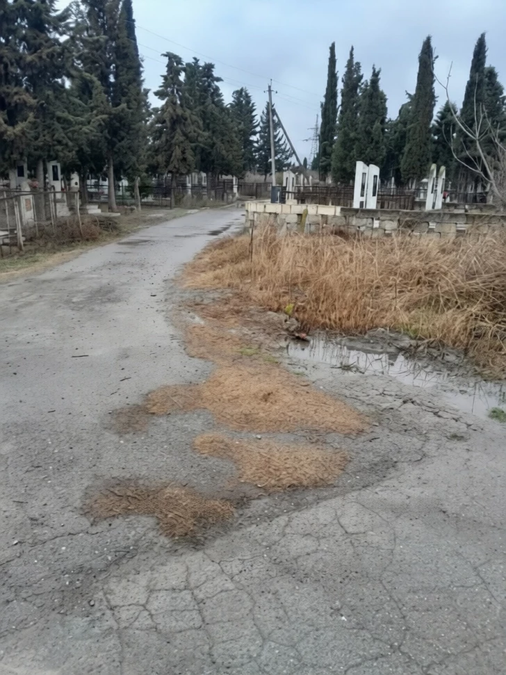 Media.az - Новости Азербайджана - В Гёйчайском районе затопило сельское кладбище: разрушены могилы