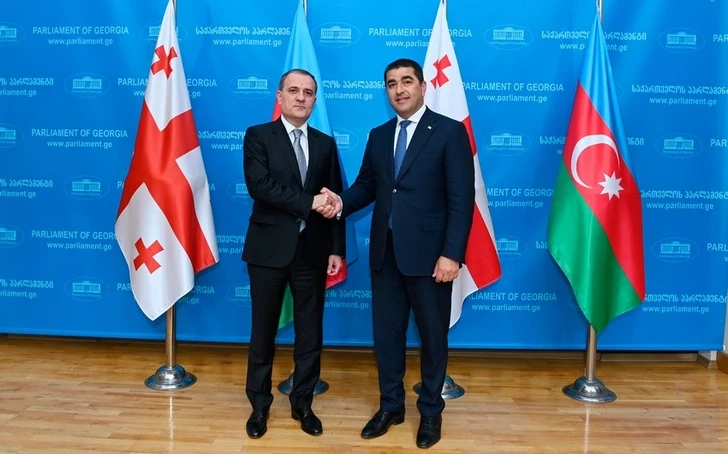 Глава МИД Азербайджана и спикер парламента Грузии обсудили ситуацию в регионе