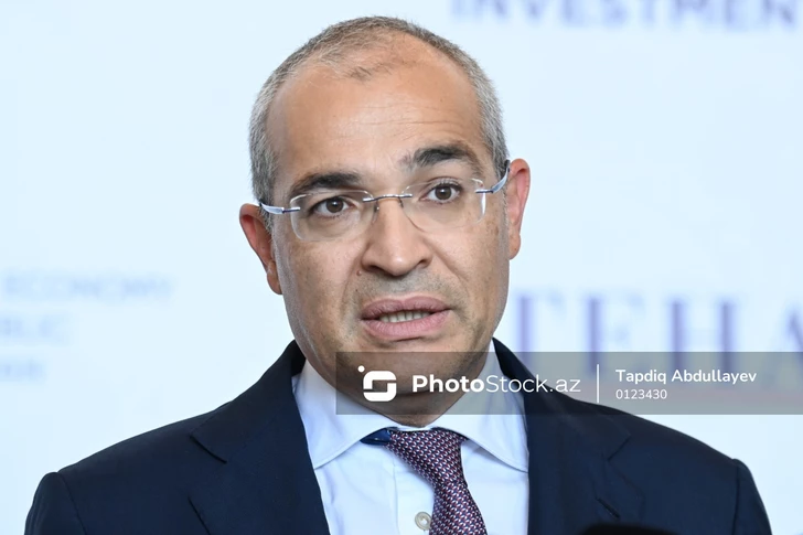 Микаил Джаббаров: Объём налоговых сборов в Азербайджане достиг исторического максимума