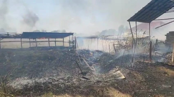 Полиция задержала мужчину, устроившего пожар в Бейлаганском районе