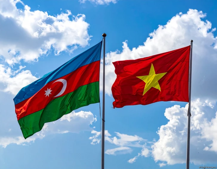 Азербайджан и вьетнамская ROX Energy Global обсудили проекты «зеленой» энергетики в Нахчыване