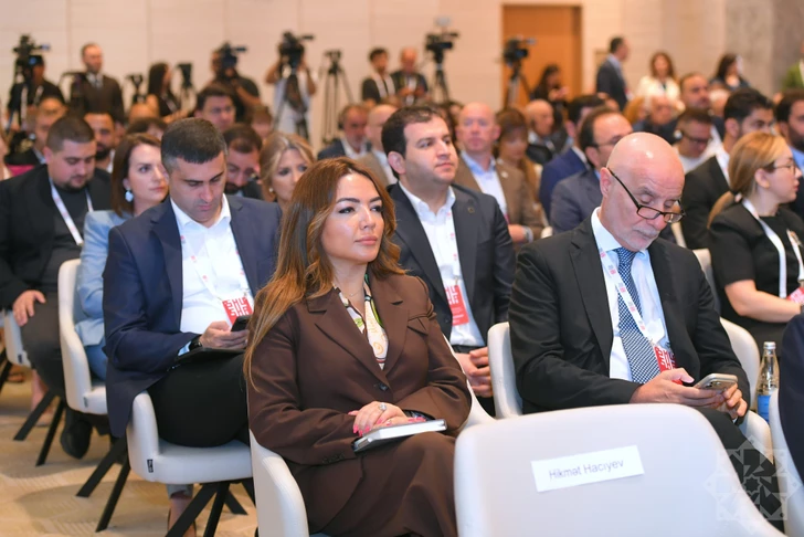 Media.az - Новости Азербайджана - Участники Шушинского медиафорума обсудили борьбу с дезинформацией и роль цифровых платформ
