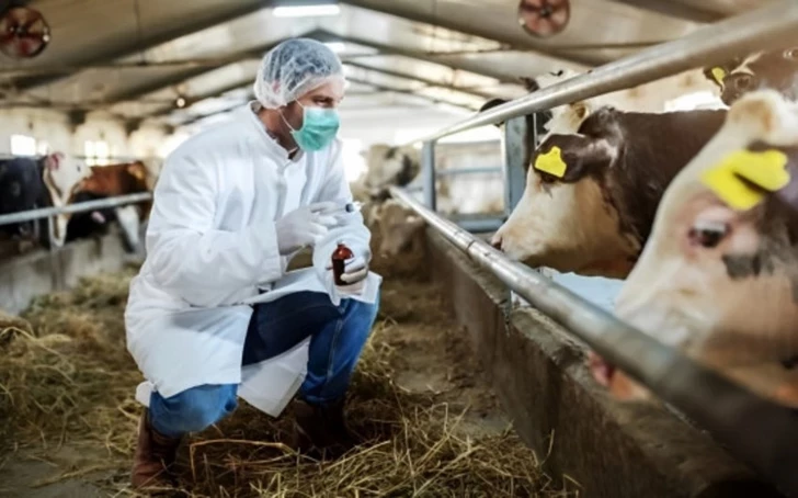 Азербайджан усиливает контроль импорта мясной продукции из-за вспышек инфекций