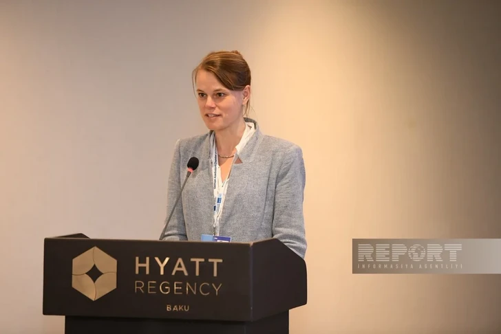 Media.az - Новости Азербайджана - Пищевая отрасль Азербайджана: Германия предложила технологии и экспертизу