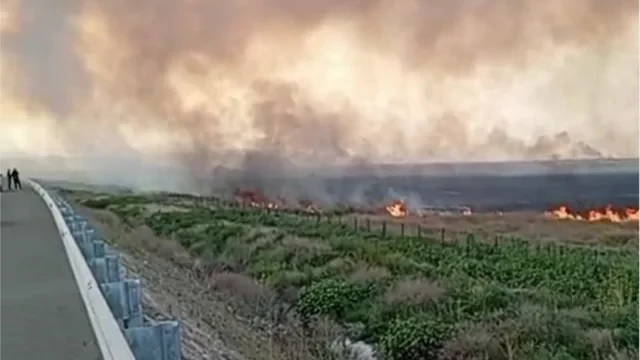 Media.az - Новости Азербайджана - В Агдамском районе вспыхнул пожар на открытой местности