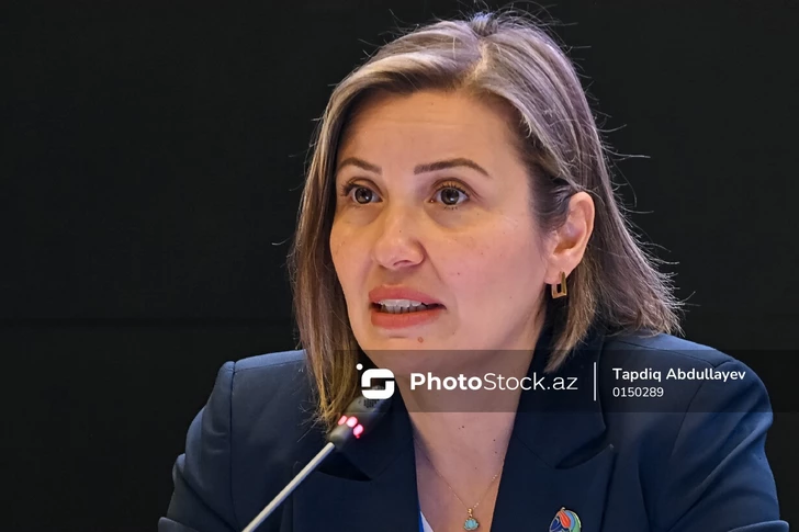 Media.az - Новости Азербайджана - В Баку проходит четвертый день Бакинской недели климатических действий 2026