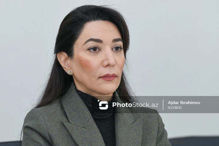 Омбудсмен Азербайджана раскритиковала заявление Amnesty International по делу Варданяна