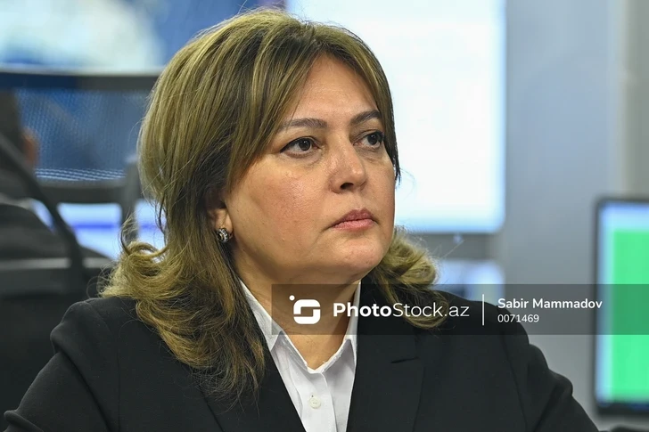 Замминистра экологии Азербайджана: Пора адаптироваться к климатическим изменениям