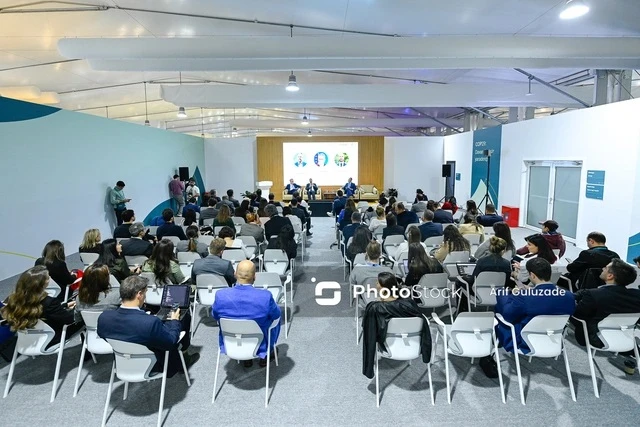 На COP29 обсудили пути создания устойчивой инфраструктуры для энергетического перехода