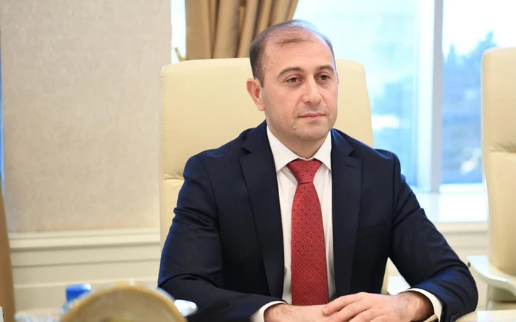 Депутат: Некоторые силы по заказу армянского лобби создают гибридные угрозы против Азербайджана