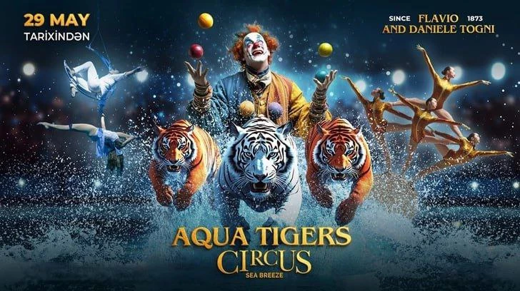 Aqua Tigers Circus: Новое шоу с тиграми и магией воды стартует в Баку