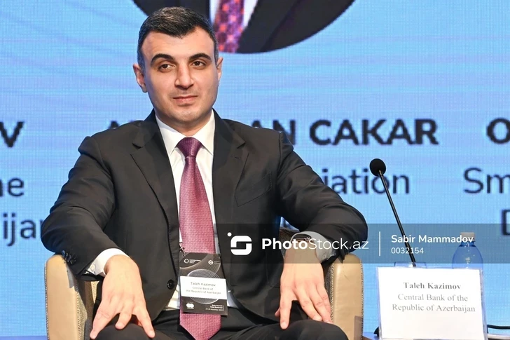 Талех Кязымов рассказал о ситуации с долларовыми вкладами и кредитами в иностранной валюте