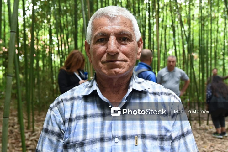 Media.az - Новости Азербайджана - Чай, лявянги и «сон на ульях»: как Лянкяран раскрывает туристический потенциал