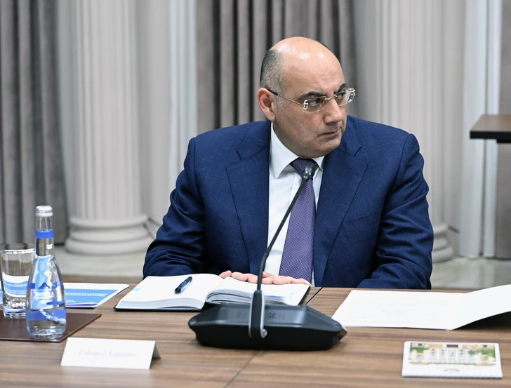 Media.az - Новости Азербайджана - Экономический совет обсудил проблемы предпринимателей и вопросы улучшения бизнес-среды