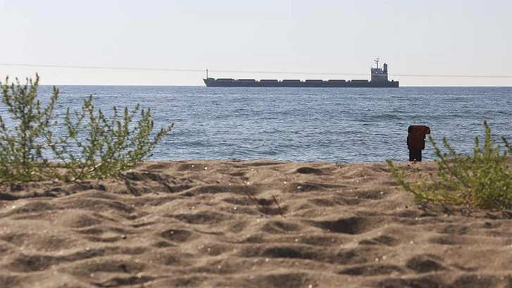 Минобороны РФ сообщило о поражении двух морских сухогрузов у побережья Одессы