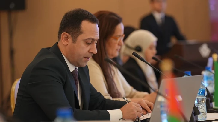 Media.az - Новости Азербайджана - Древний город Ордубад включён в Предварительный список наследия исламского мира ICESCO